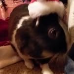 Pat Skipper - @pat.skipper.566 - Instagram