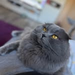 @patrol_slonecznyy - Instagram