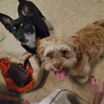 pat smithson - @patsmithson22 - Instagram
