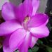 Pat Smoot - Facebook