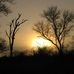 Patricia Snee - Facebook