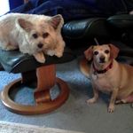 Pat Snodgrass - @snodgrass_pat - Instagram