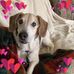 Pat Snodgrass - Facebook