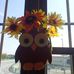 Pat Snodgrass - Facebook