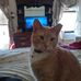 Patrica Snodgrass - Facebook