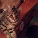 Patrica Snodgrass - @patricasnodgrass - Instagram