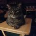 Pat Jones Soper - Facebook