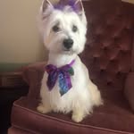 Pat Schmidt Spangler - @ptpspangler - Instagram