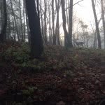 Pat Spangler - @pspangl - Instagram