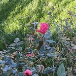 Patricia Spangler - @patricia.spangler.334 - Instagram