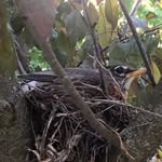 Pat Spaulding - @pat.b.spaulding - Instagram