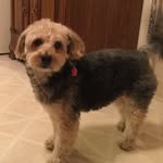 Pat Specht - @patspecht44 - Instagram