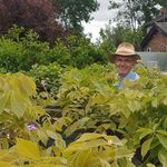 Pat Spillane - @pat_spillane - Instagram