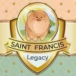 Pat Monah l Spitz alemão - @canilsaintfrancislegacy - Instagram