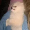 Patty - @pattyspitz - TikTok