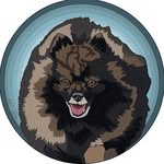 @spitzpatrol - Instagram