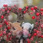 Patricia Spitzer Jinks - @spitzerjinks - Instagram