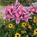 Pat Spooner - Facebook