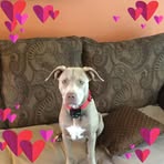 Pat Spradling - Facebook
