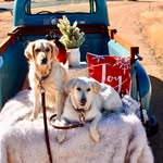 Pat Sprague - @patsprague - Instagram