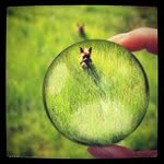 Pat Spurlock - @washerein - Instagram