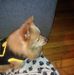Pat Squires - Facebook