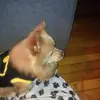 Pat Squires - @pat.squires2 - TikTok