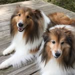 Pat Stacy - @patstacy - Instagram