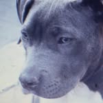 patstacy - @pats7581 - Instagram