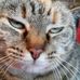 Pat Staggs - Facebook