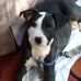Patrick Staggs - Facebook