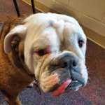 pat stamper - @stamper.pat - Instagram