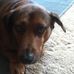 Pat Standish - Facebook