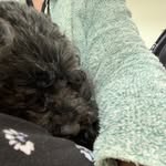 Pat Standish - @standish.pat - Instagram