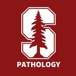 Stanford Pathology - @stanfordpathology - Instagram