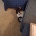 Patricia Starnes - Facebook