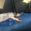 patriciakaystarnes - @patriciakaystarnes - TikTok