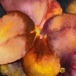 Pat Starr - @patstarrfineart - Instagram