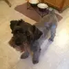 Patricia Stauffer - @patricia.stauffer2 - TikTok