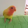 patriciastauffer8 - @patriciastauffer8 - TikTok