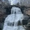 pattykilheeneystauffer96 - @pattykilheeneystauffer96 - TikTok