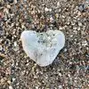 pattystauffer - @patty.stauffer - TikTok