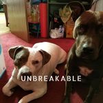 Pat St Clair - @bestgma1211 - Instagram