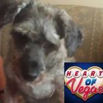 Pat StClair - @pat.stclair.733 - Instagram