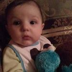 Timothy H Williams - @patsteed2006 - Instagram