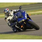 Pat Steinberger - @pat.steinberger - Instagram