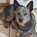 Pat Steiner - @95fire - Instagram