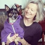 pat steiner - @steinerpat - Instagram