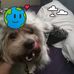 Patton Steiner - Facebook