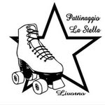 Asd Pattinaggio Artistico La Stella - @pattinaggiolastella - Instagram